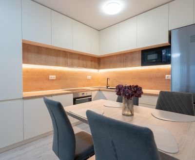 Rent One bedroom apartment, One bedroom apartment, Na pažiti, Trenčín,