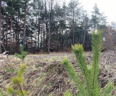 Sale Land – for living, Land – for living, Banská Bystrica, Slovakia