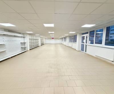 Rent Commercial premises, Commercial premises, Továrenská, Senica, Slo