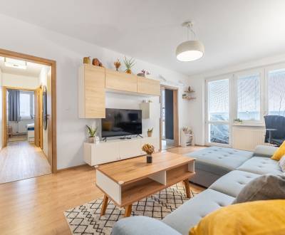 Sale Two bedroom apartment, Two bedroom apartment, Botanická, Trnava, 