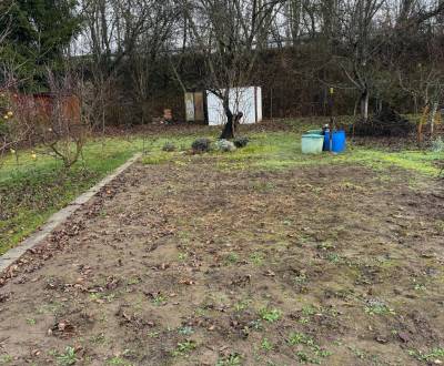 Sale Gardens, Gardens, Podhradie, Levice, Slovakia