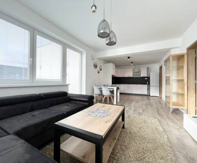 Rent One bedroom apartment, One bedroom apartment, Kožušnícka, Trenčín