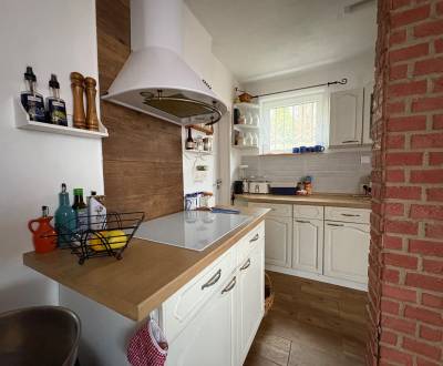 Sale Cottage, Cottage, Michalovce, Slovakia