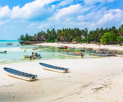 Land  9000 sqm only 100 m from the beach in Kizimkazi