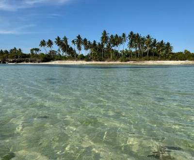 57000 sqm of Untamed Luxury: Zanzibar Beachfront Development Site