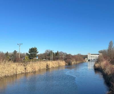 Sale Gardens, Gardens, Nová osada, Komárno, Slovakia