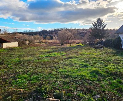 Sale Land – for living, Land – for living, Čifáre, Nitra, Slovakia