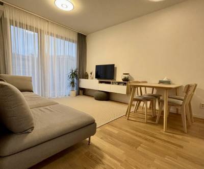 Rent One bedroom apartment, One bedroom apartment, Staré Grunty, Brati