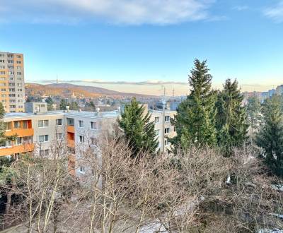 Sale Studio, Studio, Drobného, Bratislava - Dúbravka, Slovakia