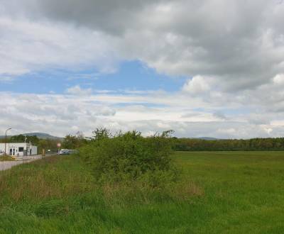Sale Agrarian and forest land, Agrarian and forest land, Pezinok, Slov