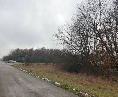 Sale Agrarian and forest land, Agrarian and forest land, Pezinok, Slov