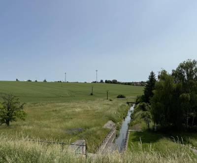 Sale Agrarian and forest land, Agrarian and forest land, Trnava, Slova