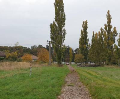 Sale Agrarian and forest land, Agrarian and forest land, Pod kašteľom,