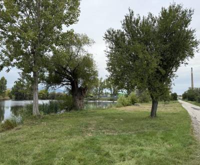 Sale Agrarian and forest land, Agrarian and forest land, Pezinok, Slov