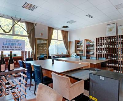 Sale Commercial premises, Commercial premises, Bratislava - Podunajské