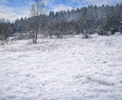 Sale Recreational land, Recreational land, Zádedová, Čadca, Slovakia
