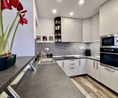 Sale Family house, Family house, Pri stodolách, Piešťany, Slovakia