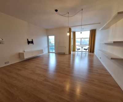 Rent One bedroom apartment, One bedroom apartment, Bôrická cesta, Žili