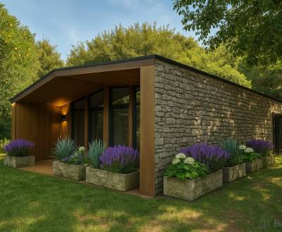 Sale Family house, Family house, Košice-okolie, Slovakia