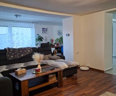 Sale Family house, Family house, Žitavce, Nitra, Slovakia