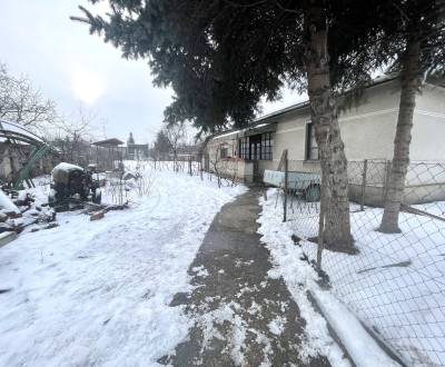 Sale Family house, Family house, Gaštanová, Komárno, Slovakia