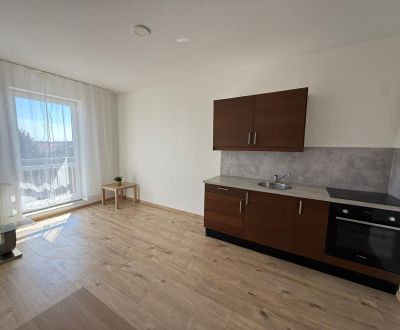 Rent One bedroom apartment, One bedroom apartment, Agátová, Senec, Slo