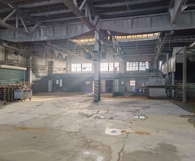 Rent Production premises, Production premises, Coburgova, Trnava, Slov