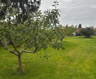 Sale Land – for living, Land – for living, Kupeckého, Pezinok, Slovaki