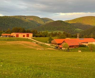 Sale Family house, Family house, ., Prievidza, Slovakia