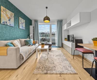 Sale Studio, Studio, Zuzany Chalupovej, Bratislava - Petržalka, Slovak