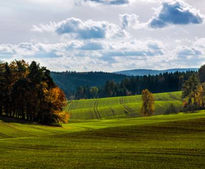 Sale Agrarian and forest land, Agrarian and forest land, Michalovce, S