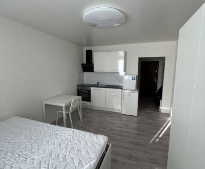 Rent Single studio, Single studio, 1 mája, Pezinok, Slovakia