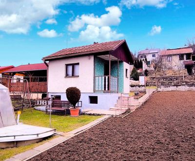 Sale Cottage, Cottage, Partizánske, Slovakia