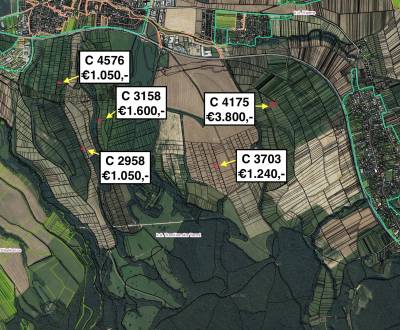 Sale Agrarian and forest land, Agrarian and forest land, Trenčín, Slov