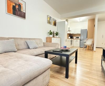 Rent One bedroom apartment, One bedroom apartment, Halalovka, Trenčín,