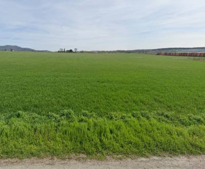 SALE - Industrieplot 133.667 m2-7 km from the factory Jaguar-Landrover