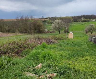 Charming Vineyard Plot for Relaxation in Klasov