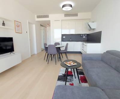 Rent One bedroom apartment, One bedroom apartment, Továrenská, Bratisl