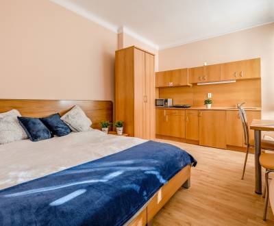Rent Single studio, Single studio, Vajanského nábrežie, Bratislava - S