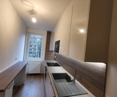 Rent One bedroom apartment, One bedroom apartment, Mikovíniho, Bratisl