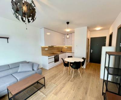 Rent One bedroom apartment, One bedroom apartment, Pri vojenskom cinto