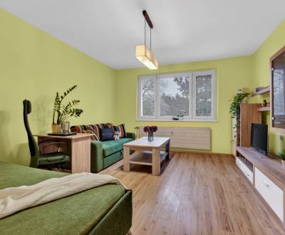 Sale Studio, Studio, Studenohorská, Bratislava - Lamač, Slovakia