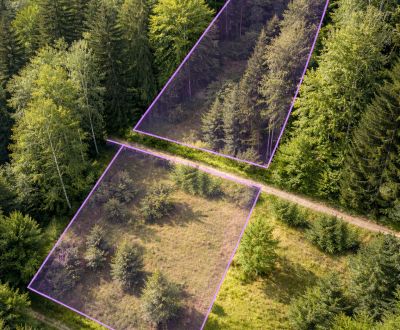 Sale Agrarian and forest land, Agrarian and forest land, Kosárky, Čadc