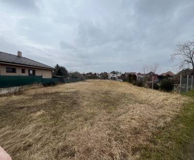 Sale Land – for living, Land – for living, Hlohovec, Slovakia