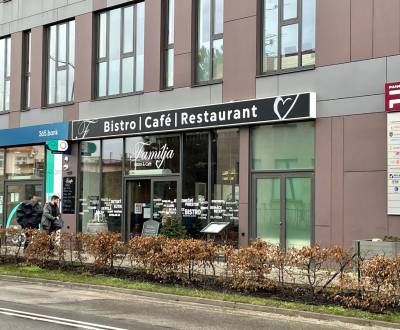 Rent Commercial premises, Commercial premises, Moyzesova, Pezinok, Slo