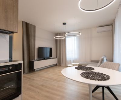Furnished 1-bedroom with terrace, BORY