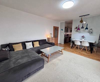 Sale One bedroom apartment, One bedroom apartment, Pod Párovcami, Pieš