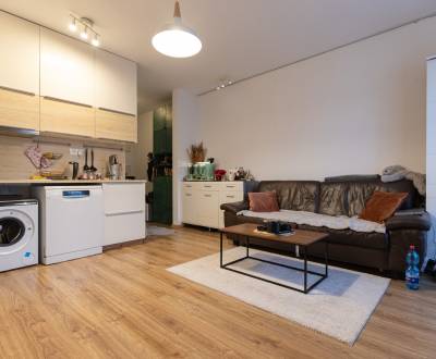 Modern 1-Bedroom Apartment with Balcony and Parking