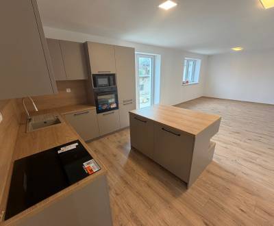 Sale Family house, Family house, Sasinkovo, Hlohovec, Slovakia