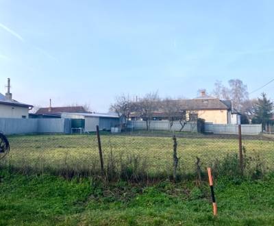 Sale Gardens, Gardens, Michalovce, Slovakia